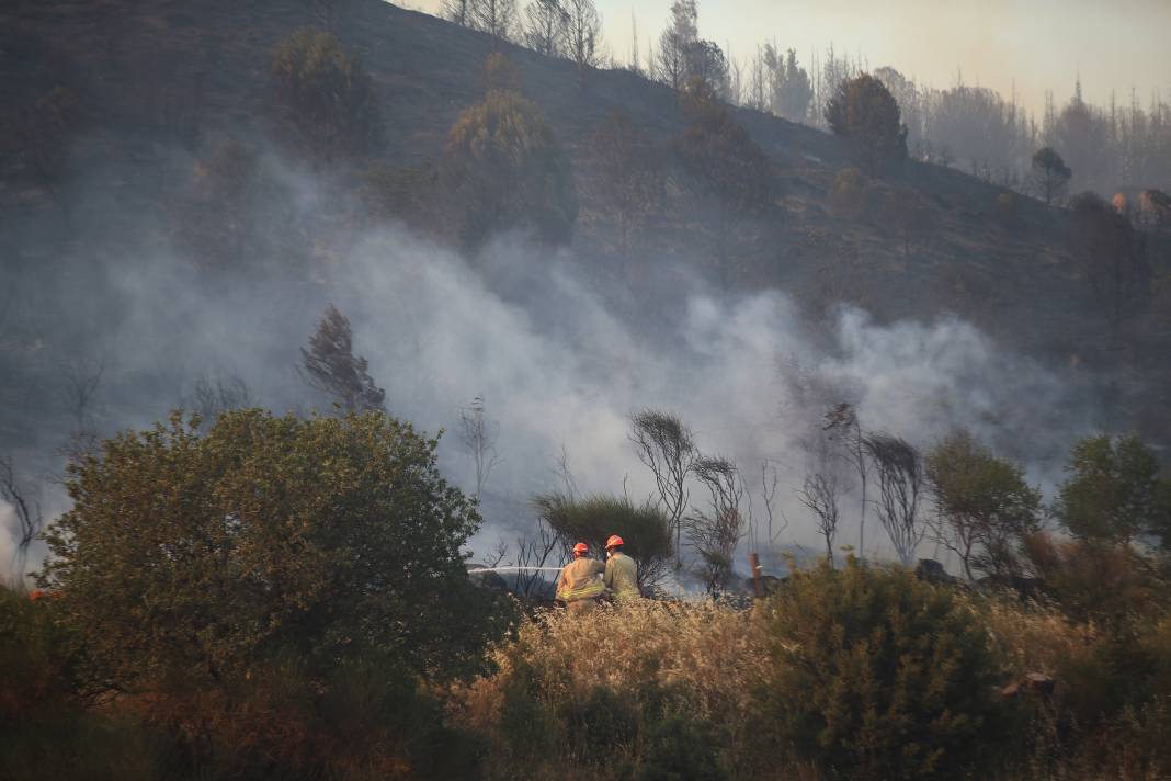 Çanakkale'deki Tarihi Alan'ın güney hattı ziyarete açıldı! Orman yangınında kapatılmıştı 53